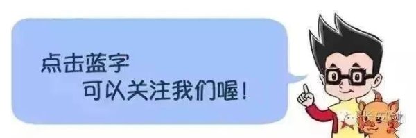 上上策 一等功女站长，“露脸”缉毒！