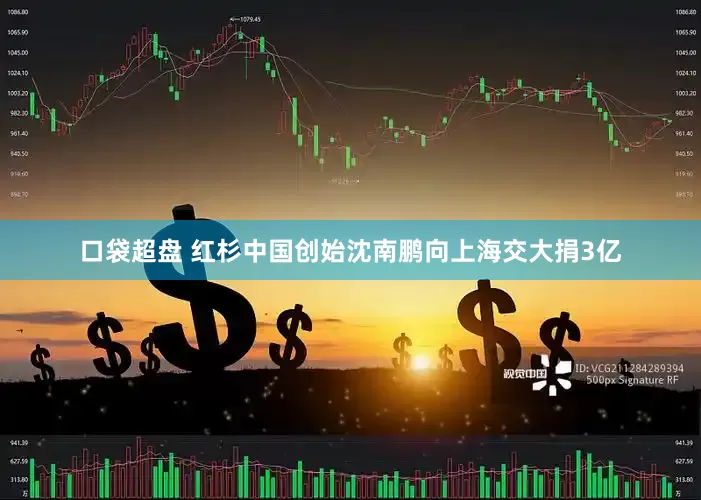 口袋超盘 红杉中国创始沈南鹏向上海交大捐3亿